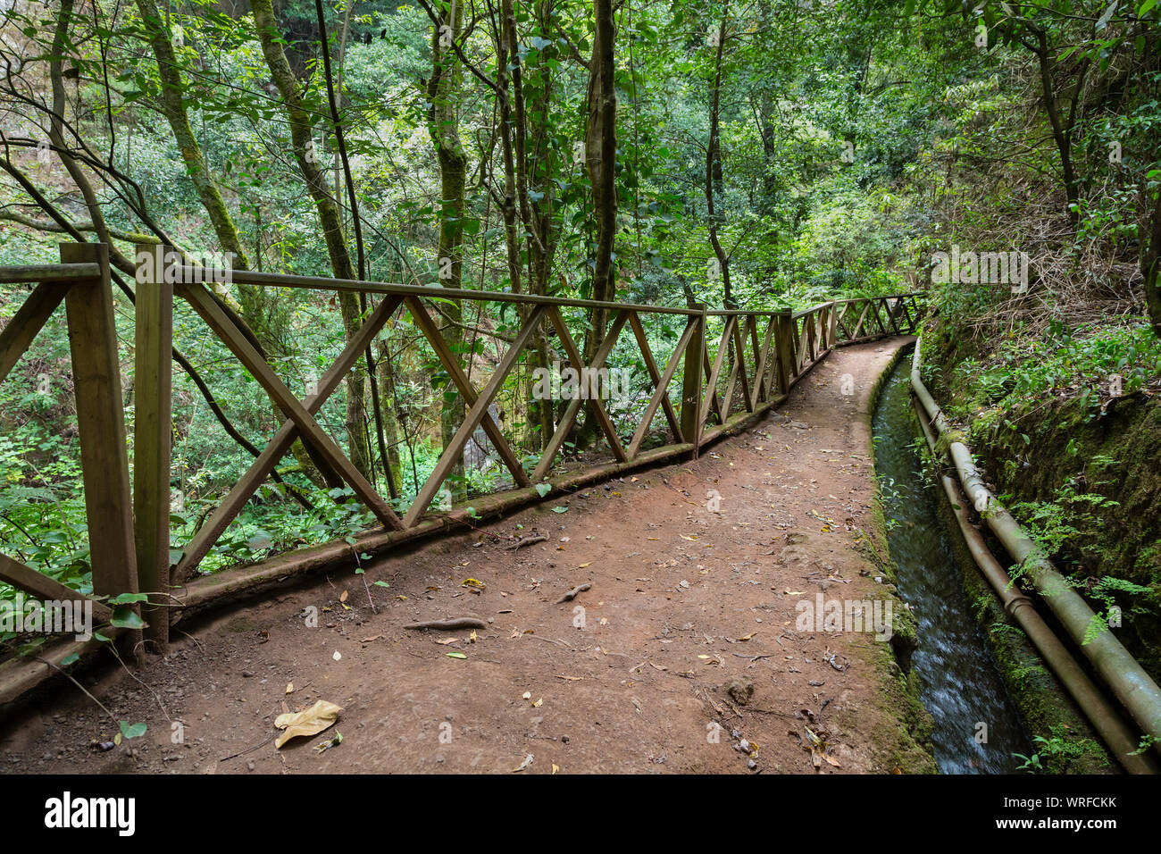 Et canal sentier à travers la forêt tropicale canyon de Los Tilos en La Palma, Espagne. Banque D'Images