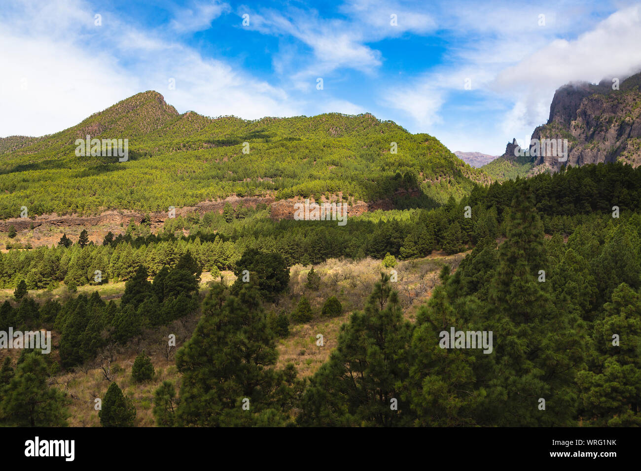 Vue depuis la vallée de la Cumbrecita en La Palma, Espagne. Banque D'Images