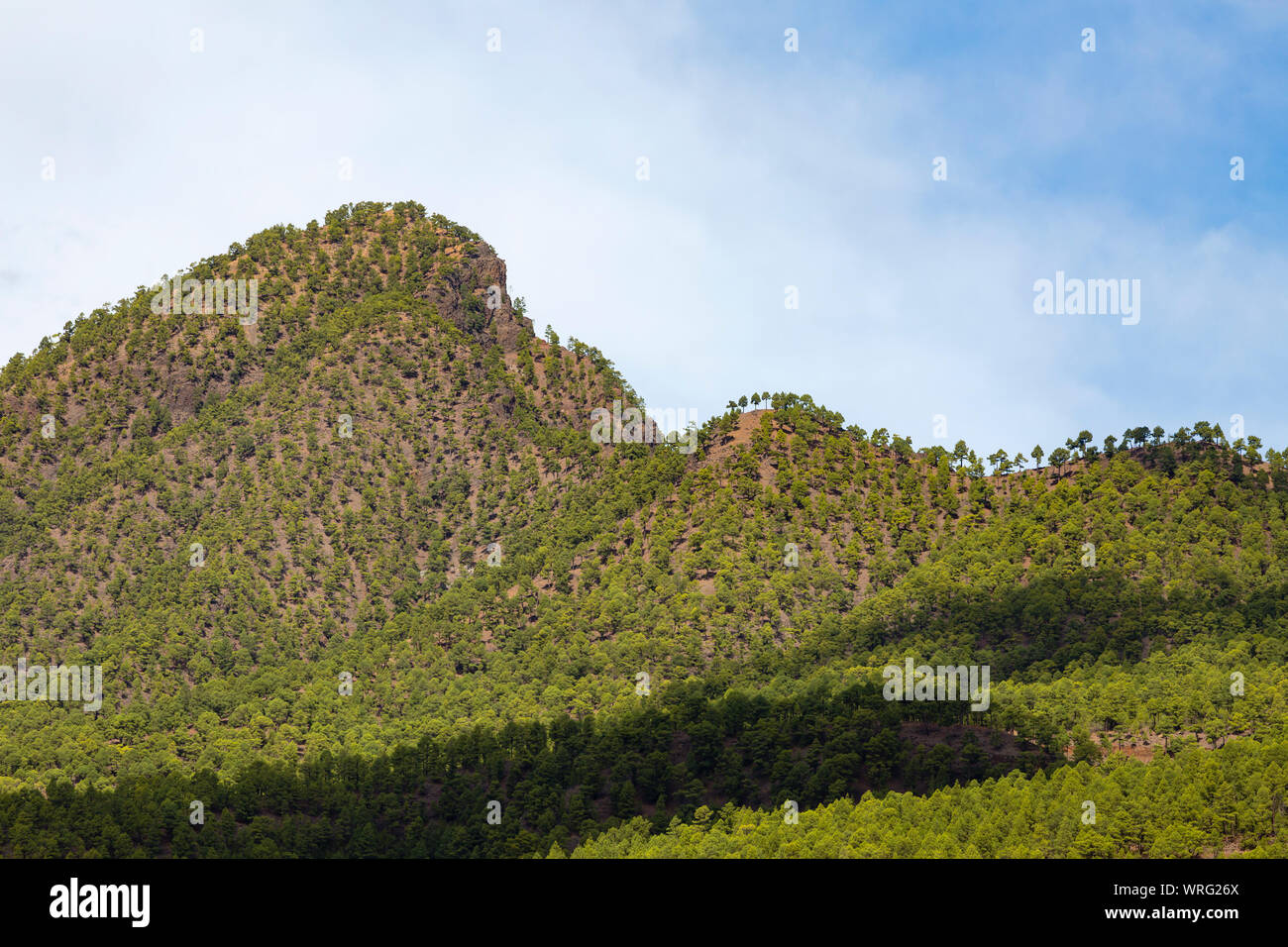 Vue depuis la vallée de la Cumbrecita en La Palma, Espagne avec le Pico Bejenado. Banque D'Images