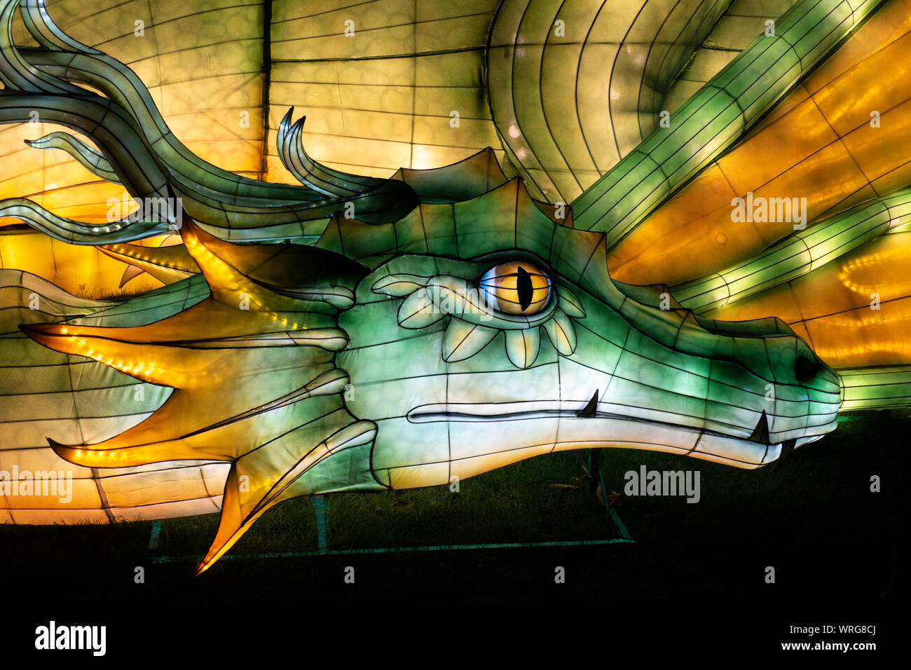 Dragon mythique, une partie de la Chine des lanternes géantes, Mythes et Légendes afficher au Zoo d'Edimbourg, Ecosse, Royaume-Uni Banque D'Images