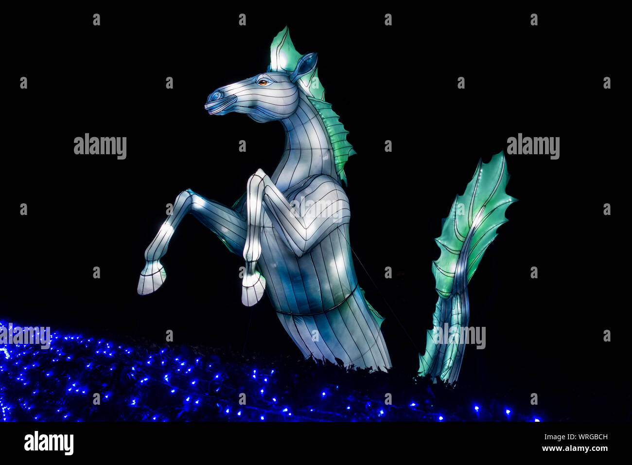 Kelpie, mythique une forme changeante de l'esprit d'eau, une partie de la Chine des lanternes géantes, Mythes et Légendes afficher au Zoo d'Edimbourg, Ecosse, Royaume-Uni Banque D'Images