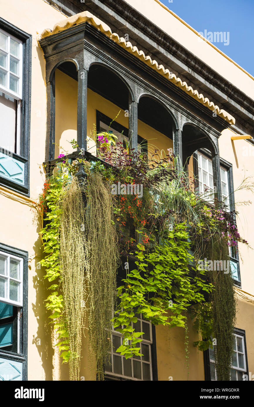 D'un balcon traditionnel typique avec des fleurs sur une maison à Santa Cruz de La Palma, Espagne. Banque D'Images