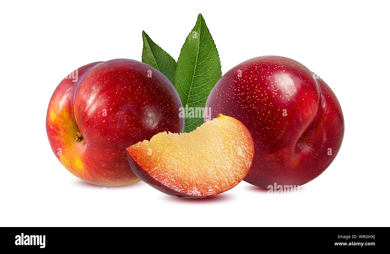 Prune sur fond blanc Banque D'Images