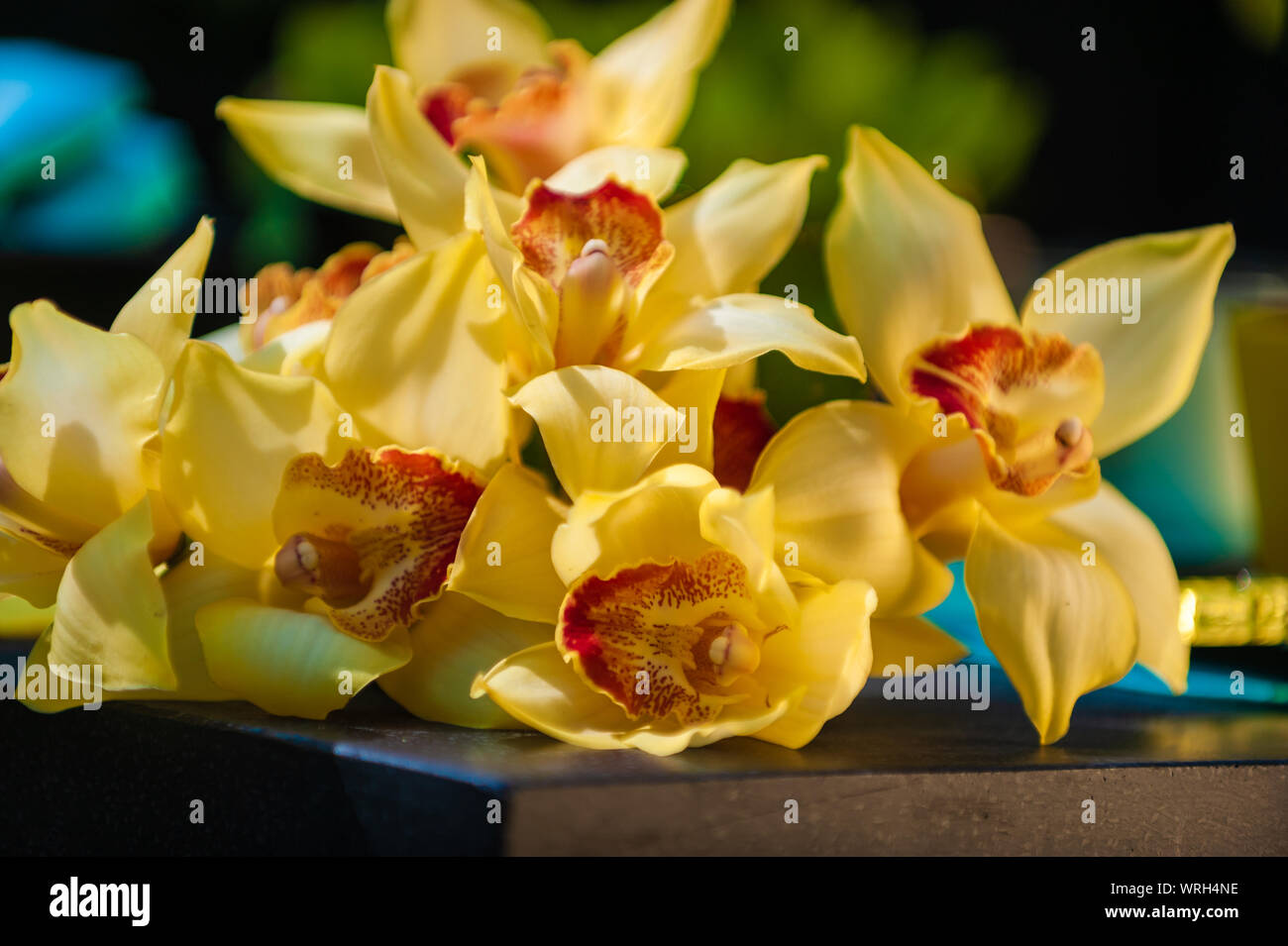 Bouquet de lys jaune allongé sur un bloc de pierre. Banque D'Images