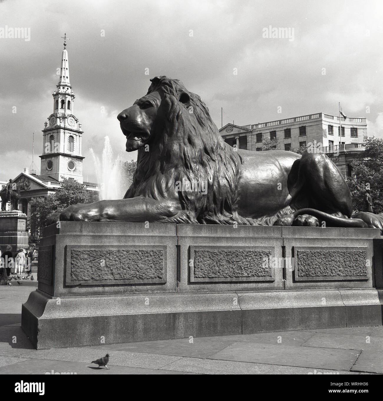 Années 1950, historiques, l'un des (quatre) Lion en bronze des statues à Trafalgar sqaure, Westminster, Londres, Angleterre, conçu par Edwin Landseer en 1867. Banque D'Images