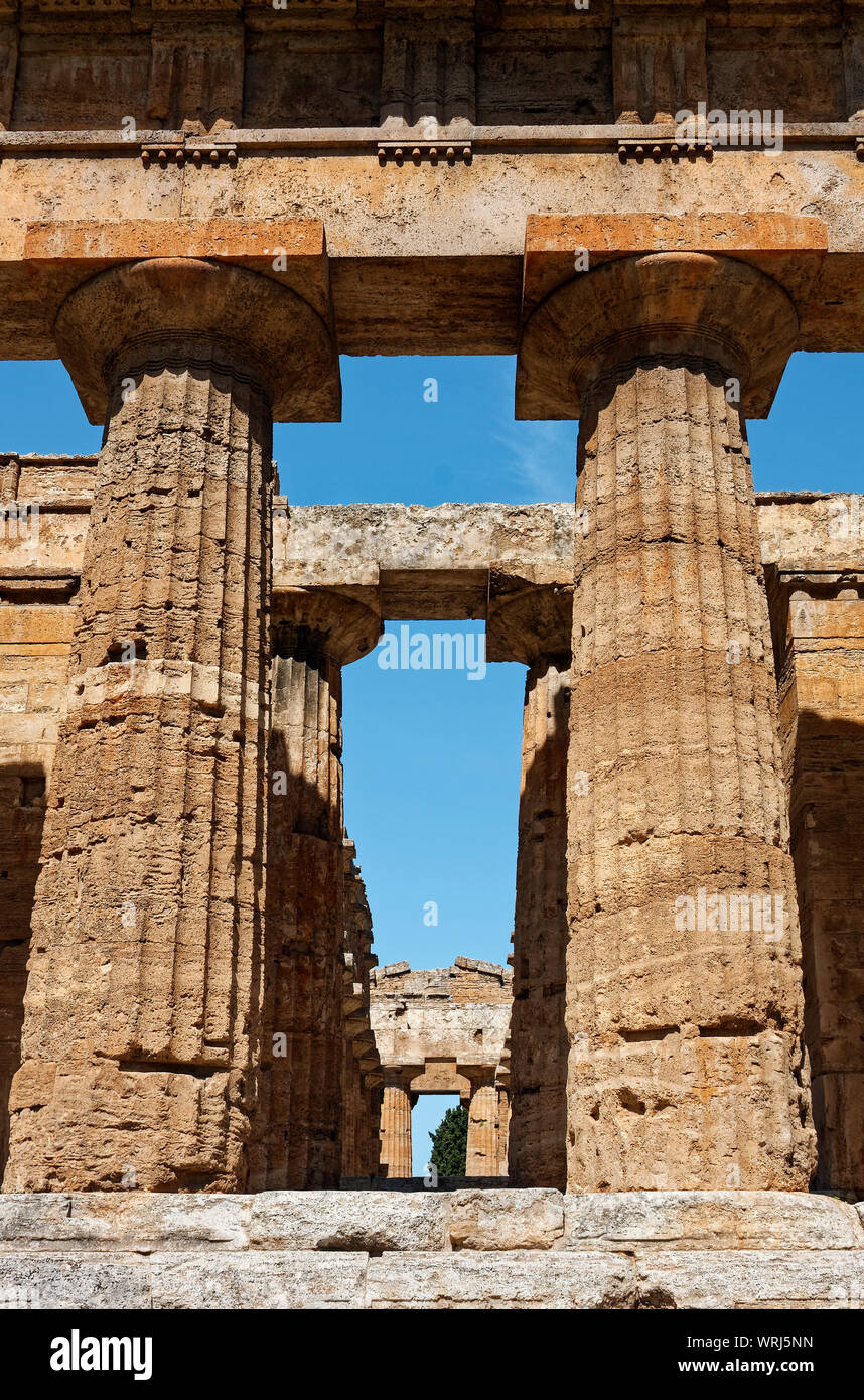 Paestum, ruines, Temple de Neptune, colonnes, close-up, ancienne ville grecque, site archéologique, 450 B.C., vieux, site de l'UNESCO ; Europe ; Province de Salerne ; Banque D'Images
