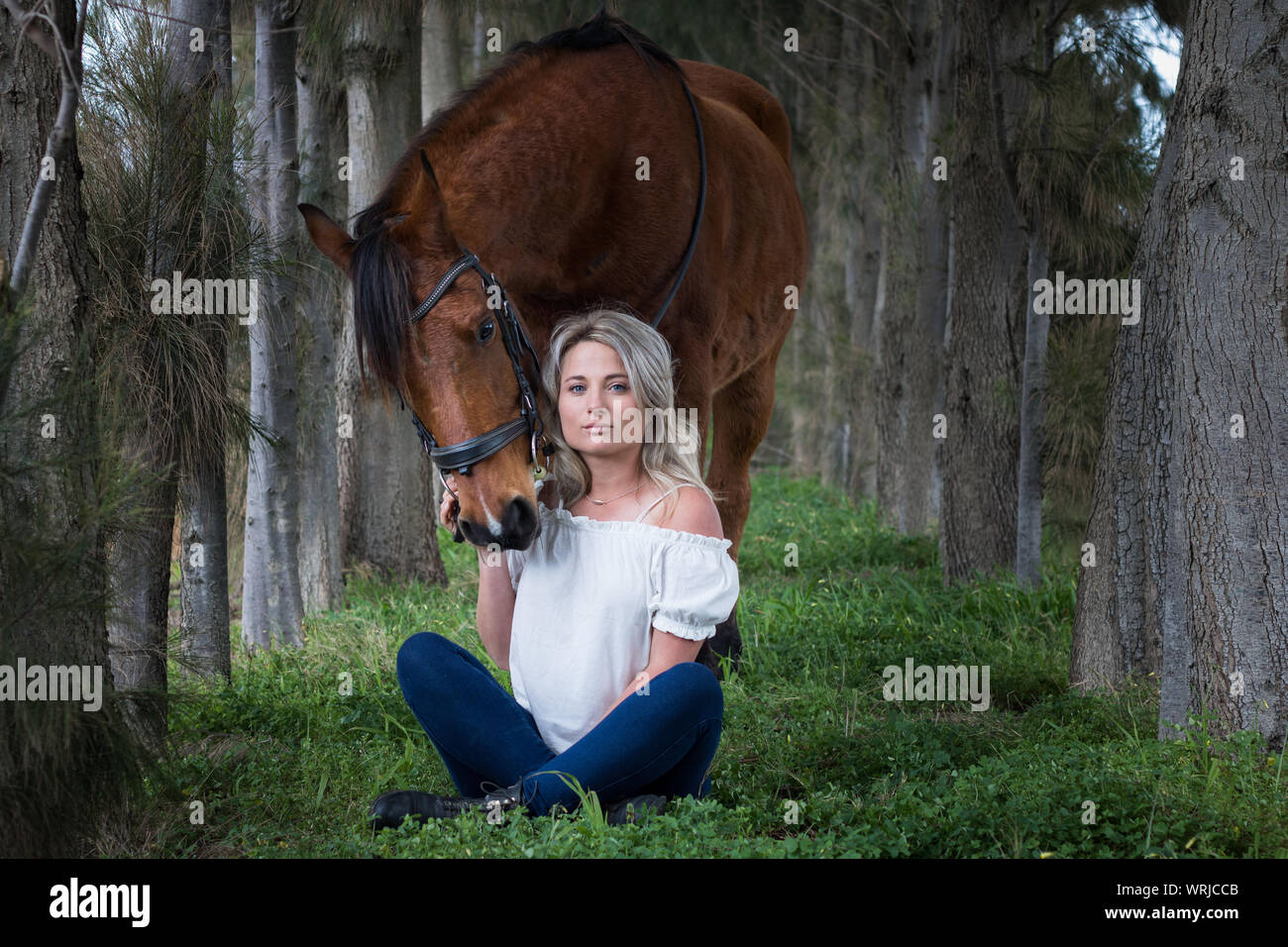 Woman face caméra, assis sur le sol de la forêt avec son cheval arabe alezan entouré de grands arbres, à l'extérieur. Banque D'Images