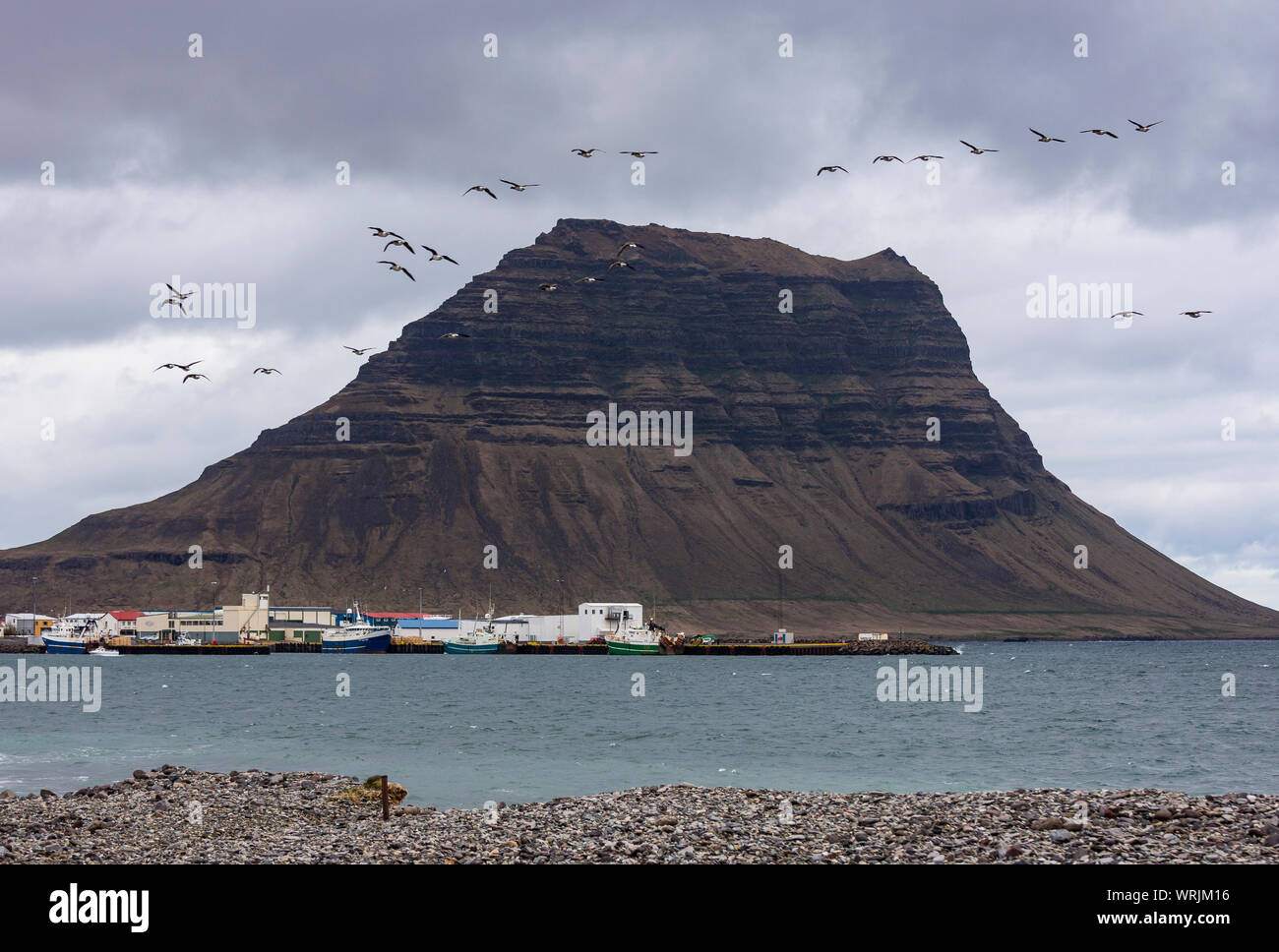 GRUNDARFJOROUR, ISLANDE - Troupeau d'oiseaux mouches par Kirkjufell mountain, péninsule de Snæfellsnes. Banque D'Images