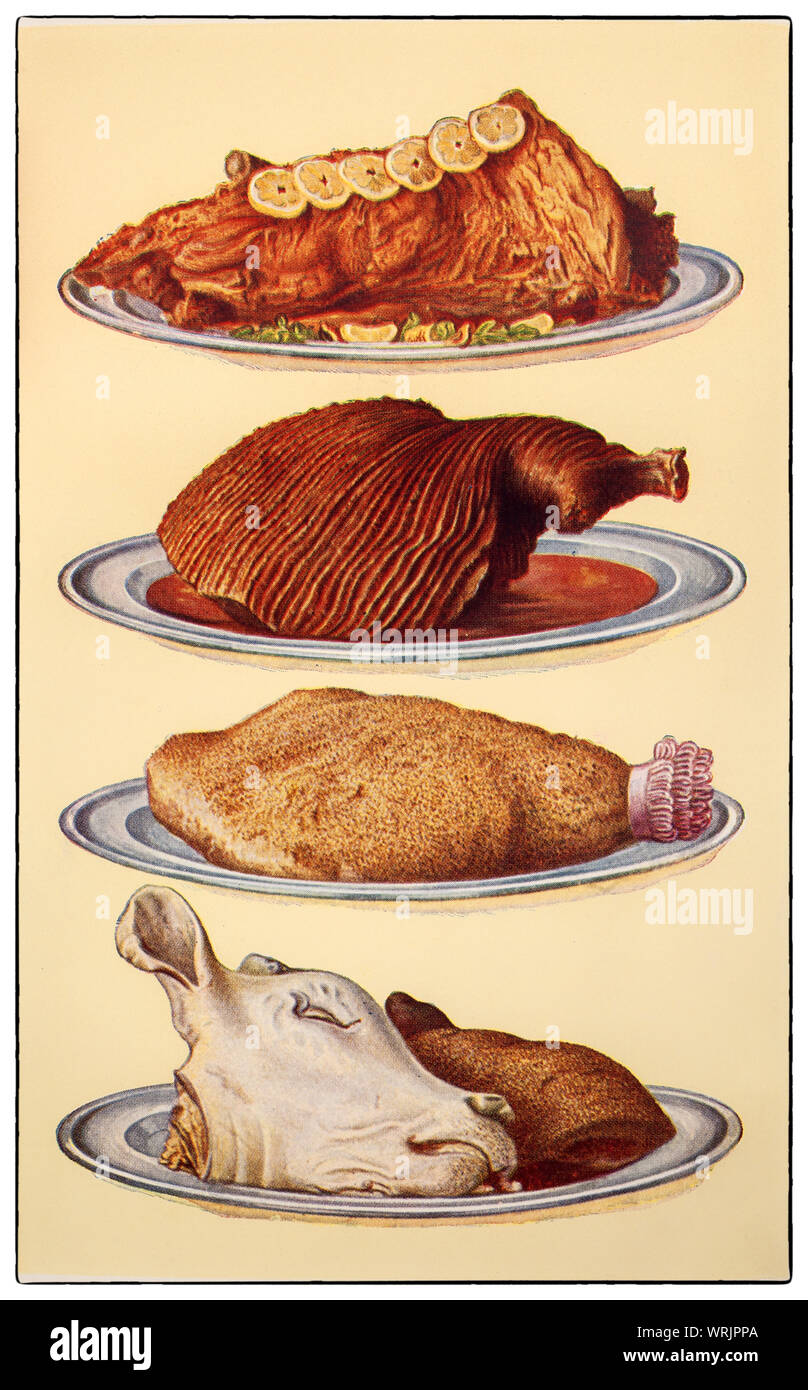 Les dernières techniques de cuisine et la préparation des aliments depuis le début des années 1930 dans le Beeton Mme 'Tout sur Côté Cuisine' édition de 1930. Différentes articulations de la viande (de haut en bas) : Haunch of Venison ; gigot de Porc Jambon York ; et la tête de veau et baignoire Chap Banque D'Images