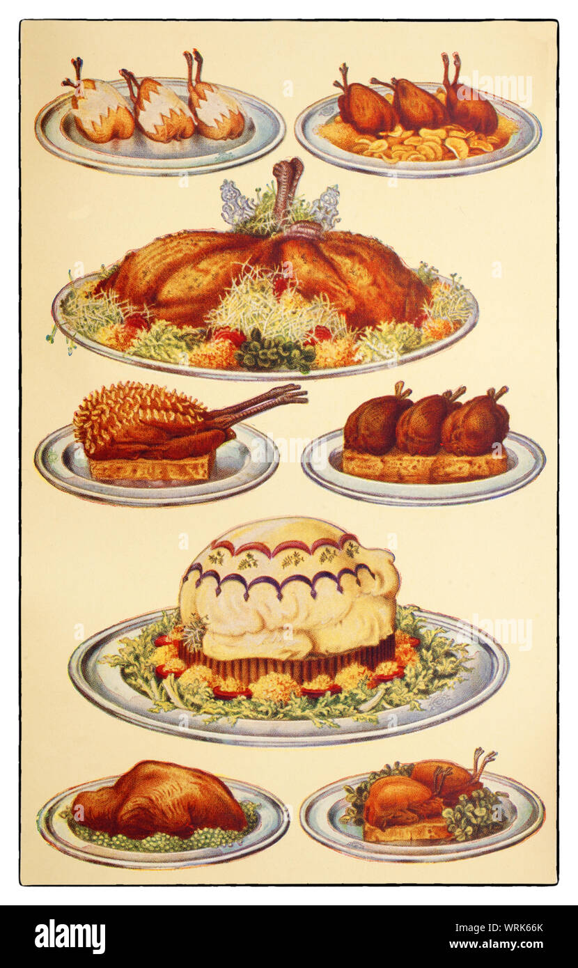 Les dernières techniques de cuisine et la préparation des aliments depuis le début des années 1930 dans le Beeton Mme 'Tout sur Côté Cuisine' édition de 1930. Volaille et gibier : 1. Perdrix bardé ; 2. Perdrix rôties ; 3. Surrey rôti de volaille ; 4. Pintade lardé ; 5. Les pluviers rôti ; 6. Chapon farci a la mayonnaise ; 7. Gosling rôti ; 8. Rôtir les pigeons. Banque D'Images