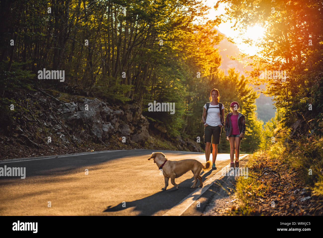 Mère et fille de la randonnée par la route asphaltée dans la forêt avec un petit chien jaune Banque D'Images Mère et fille de la randonnée par la route asphaltée dans la forêt avec un petit chien jaune Banque D'Images