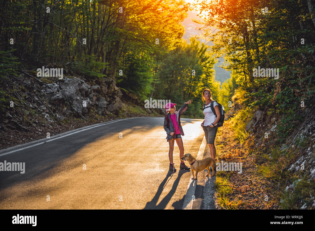 Mère et fille de la randonnée par la route asphaltée dans la forêt avec un petit chien jaune Banque D'Images Mère et fille de la randonnée par la route asphaltée dans la forêt avec un petit chien jaune Banque D'Images