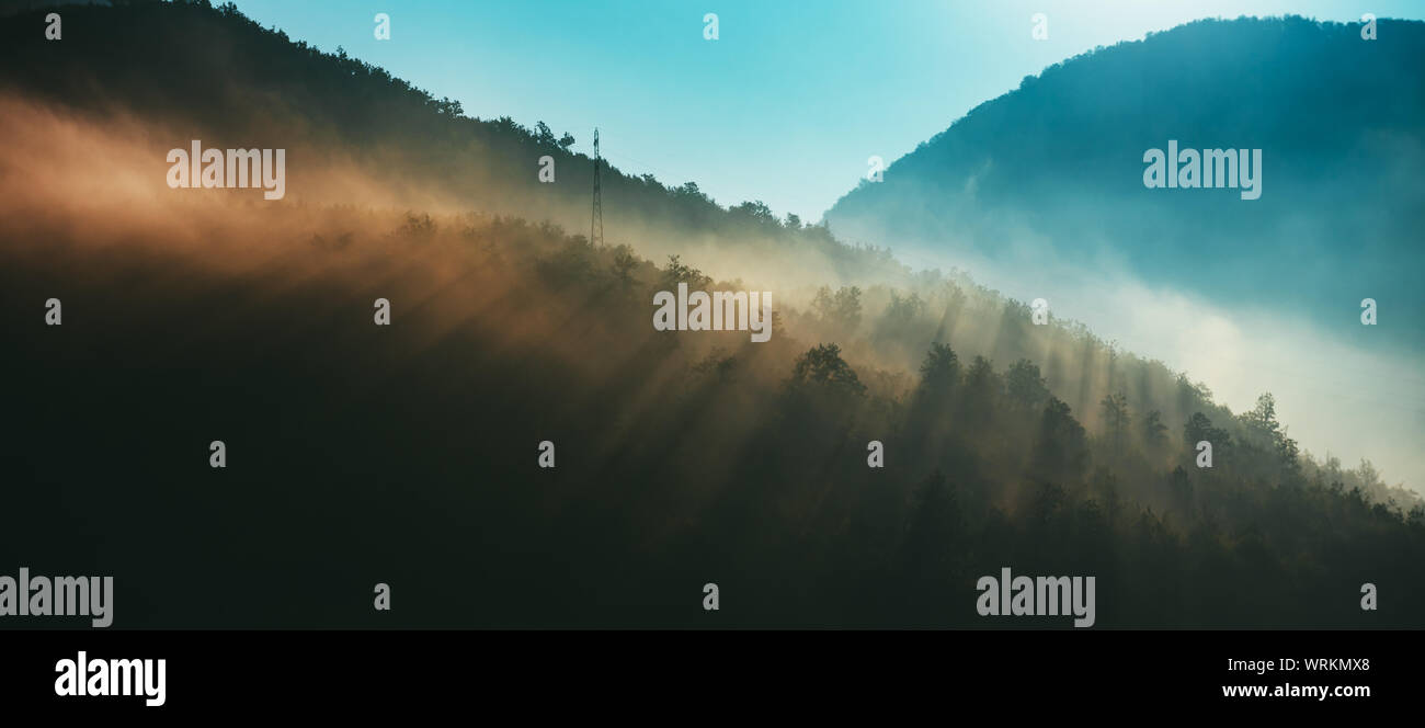Montagnes et sur la forêt de brouillard du matin Banque D'Images