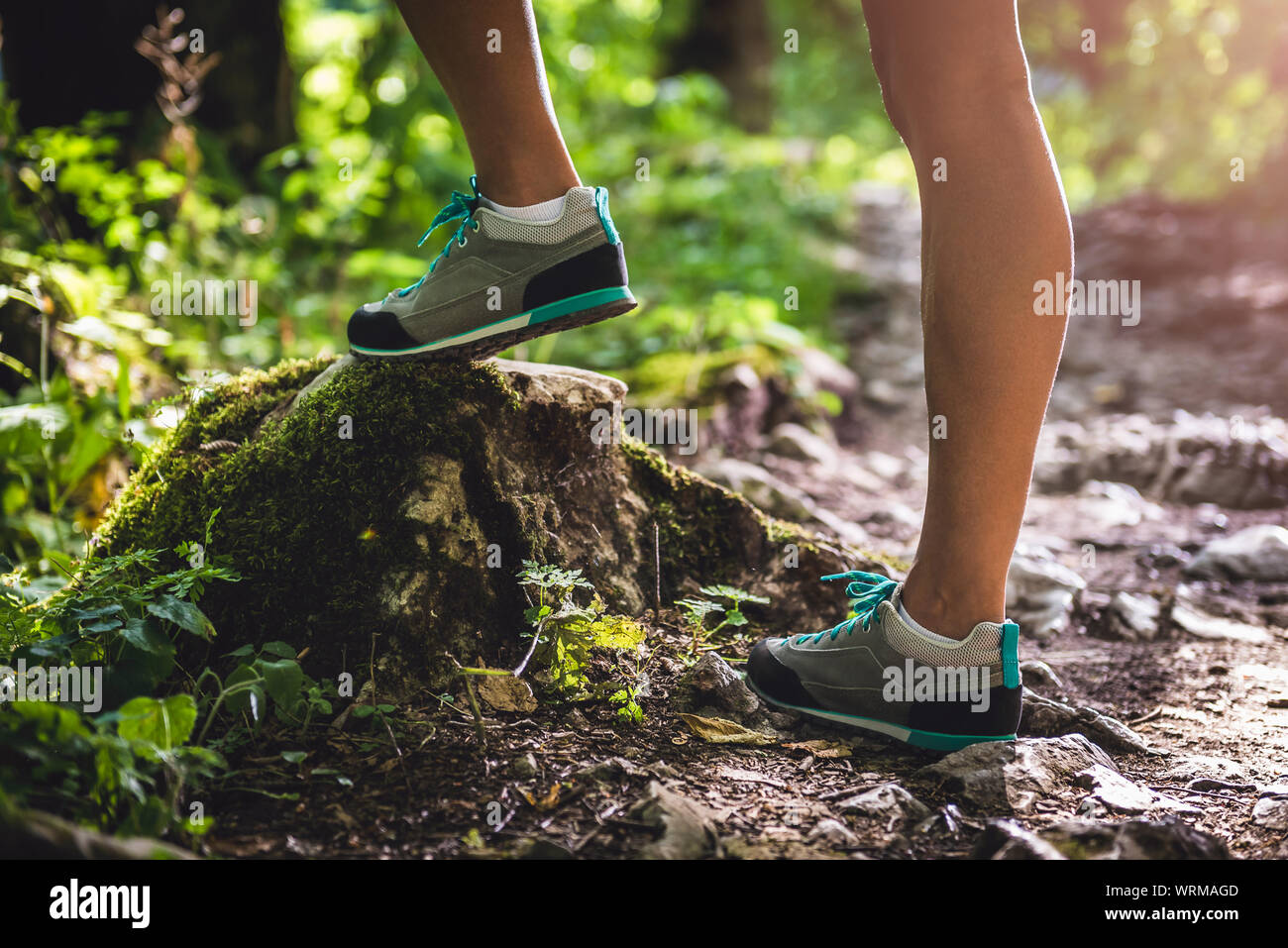 Chaussures de randonneur sur un sentier forestier Banque D'Images