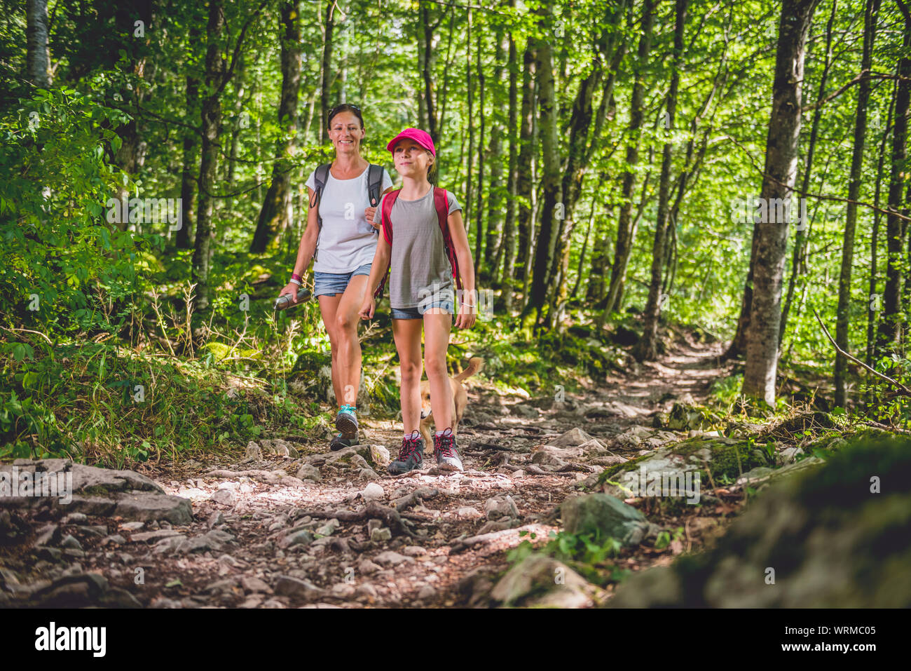 Mère et fille randonnées en forêt avec petit chien jaune Banque D'Images Mère et fille randonnées en forêt avec petit chien jaune Banque D'Images