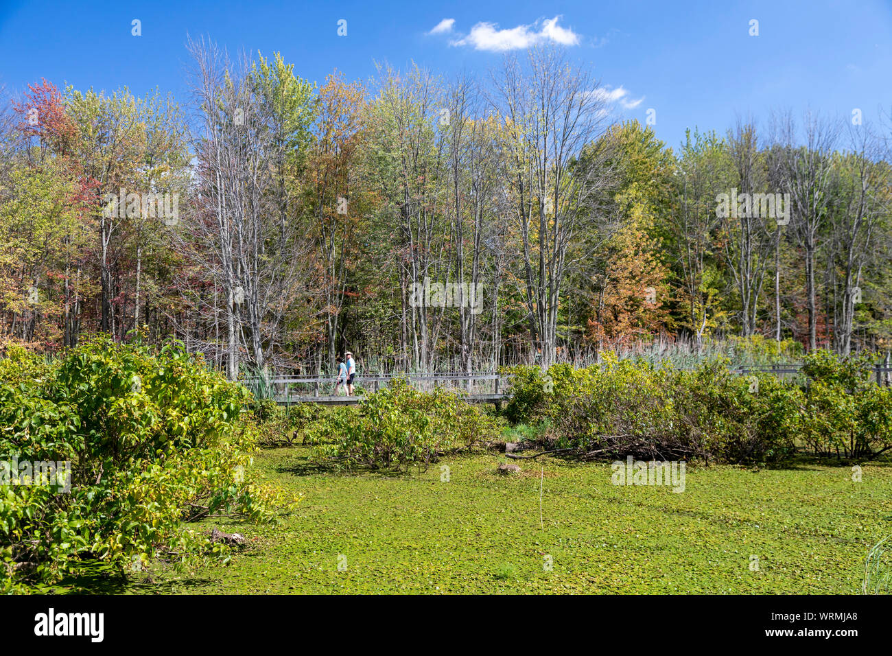 De l'Oregon, Ohio - sentiers Promenade nature au Centre à Trautman Maumee Bay State Park. Banque D'Images