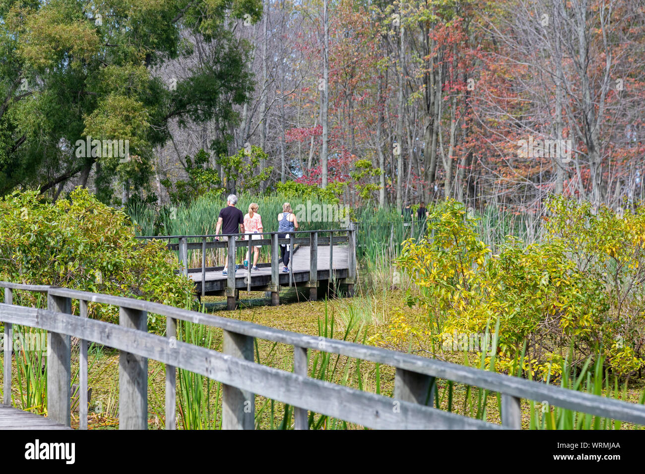 De l'Oregon, Ohio - sentiers Promenade nature au Centre à Trautman Maumee Bay State Park. Banque D'Images