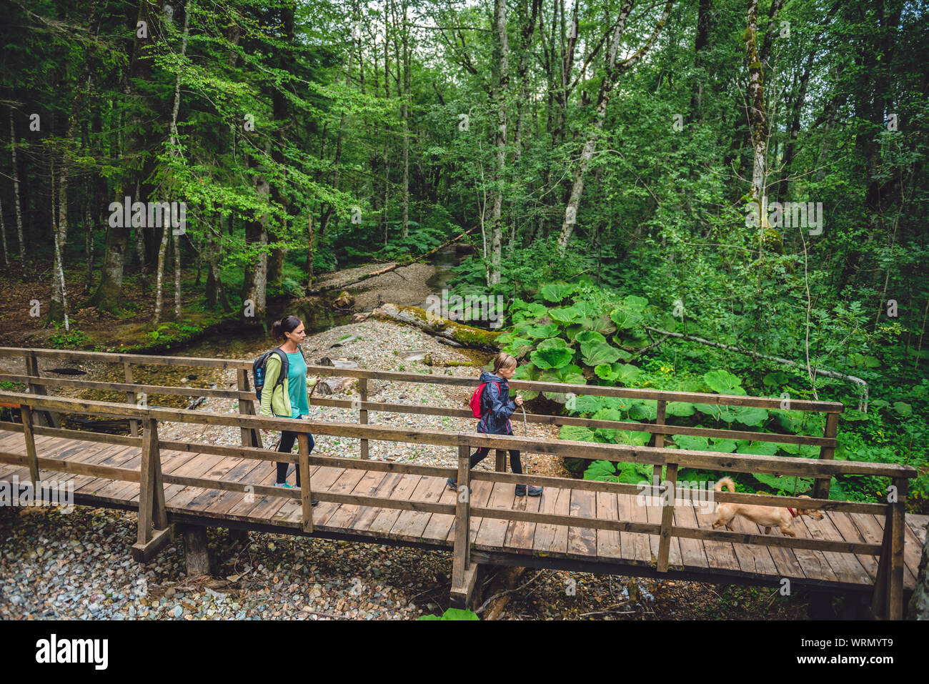 Mère et fille avec chien randonnées en forêt et sur les croisements de pont de bois sur les petits cours d'eau forestiers Banque D'Images