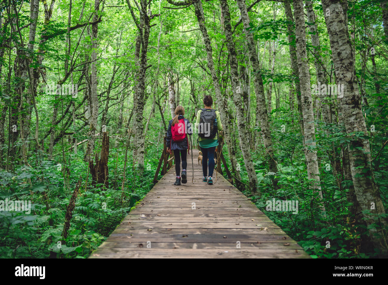Mère et fille de la randonnée sur un sentier en forêt Banque D'Images Mère et fille de la randonnée sur un sentier en forêt Banque D'Images