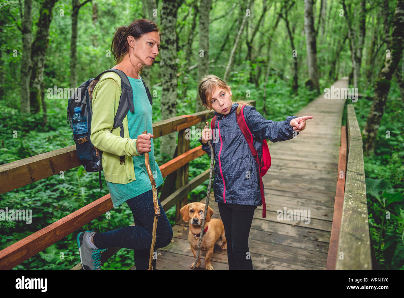 Mère et fille avec petit chien jaune de la randonnée sur un sentier en forêt Banque D'Images Mère et fille avec petit chien jaune de la randonnée sur un sentier en forêt Banque D'Images