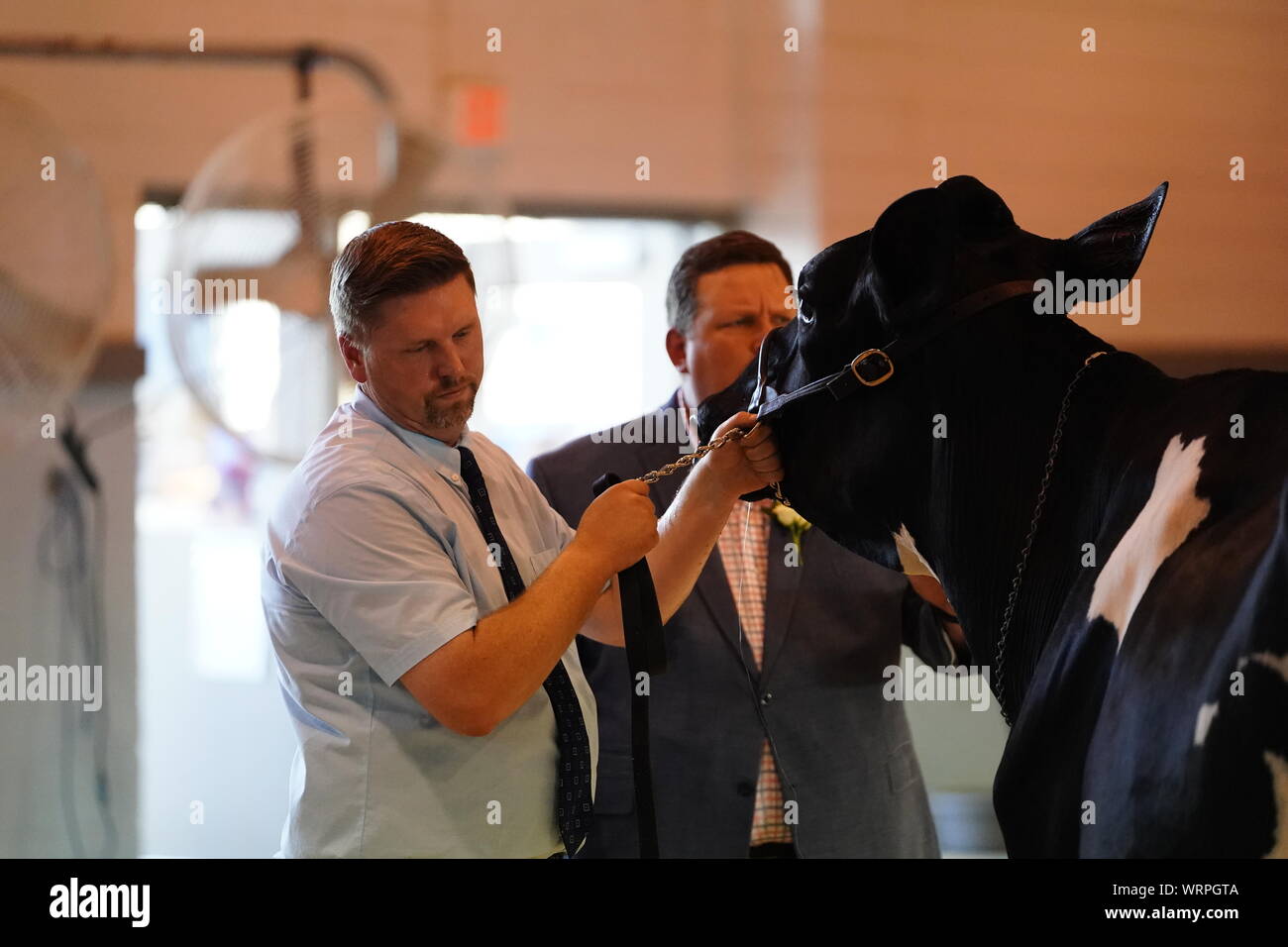 Fond du Lac concours bovins à Fond du Lac Parc des expositions 2019 Banque D'Images