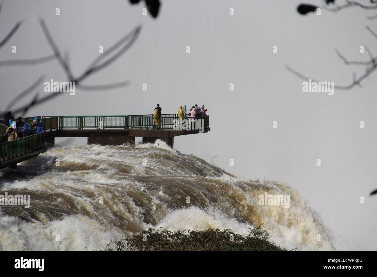 Les touristes au point d'observation en regardant Iguazu Falls Banque D'Images