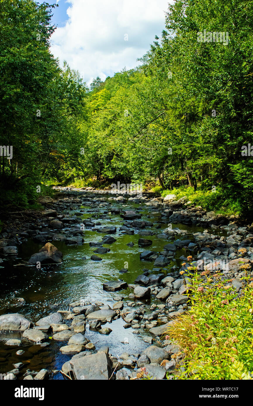 Diffuser dans les Adirondacks près de Saranac Lake NY USA Banque D'Images