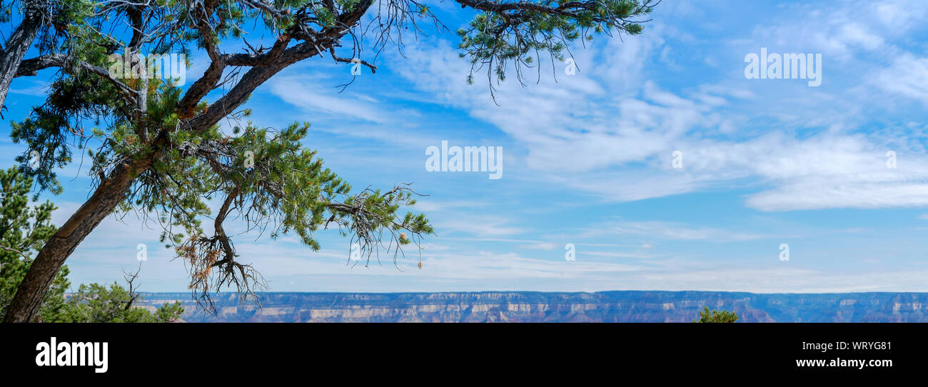 Vue panoramique le long de la rive sud du Grand Canyon National Park avec les cirrus dans un ciel bleu Banque D'Images