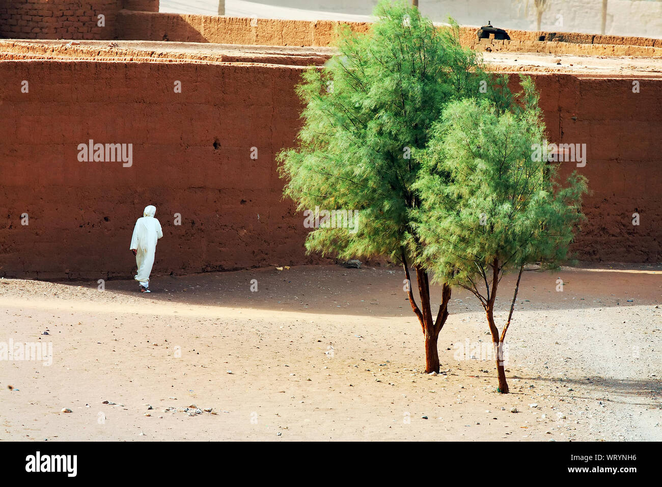 Vue arrière de l'homme marchant par structure bâtie dans le Desert Banque D'Images