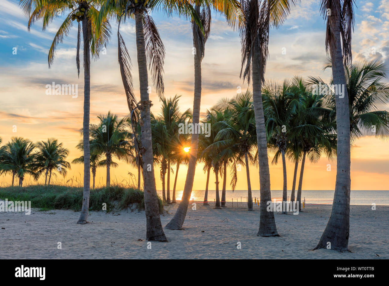 Lever du soleil à palmiers par la plage de Paradise Island Banque D'Images