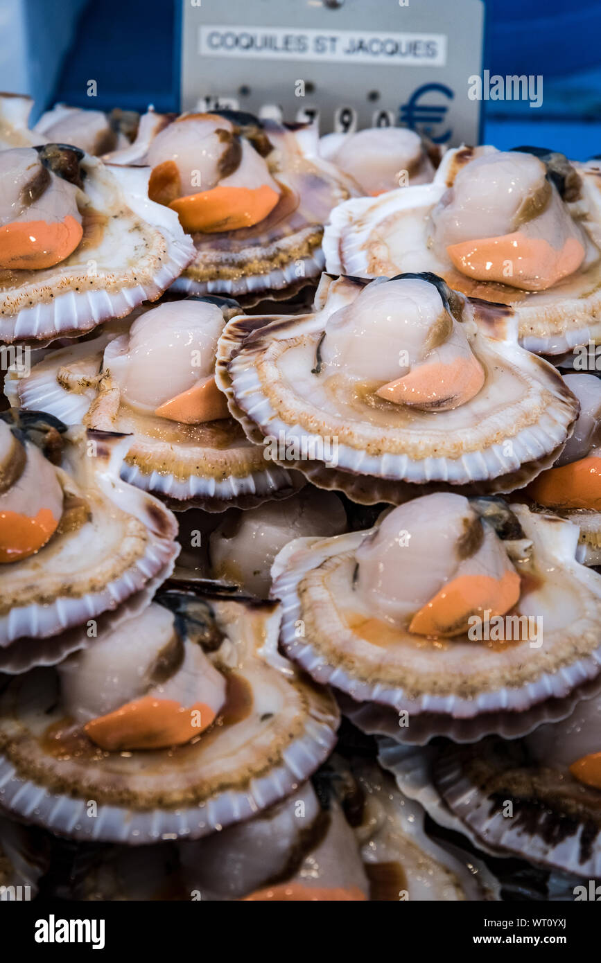 Pétoncles frais sur la demi-coquille, marché,Paris banlieue Banque D'Images
