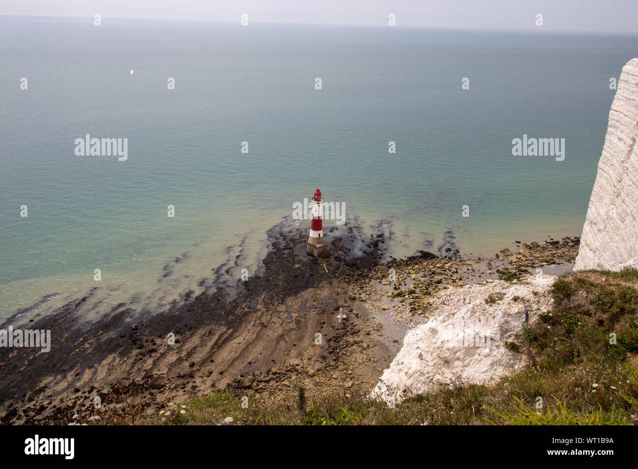 Falaise Beachy Head, la falaise est la plus haute falaise de craie en Grande-Bretagne et l'une des taches du suicide dans le monde. Banque D'Images