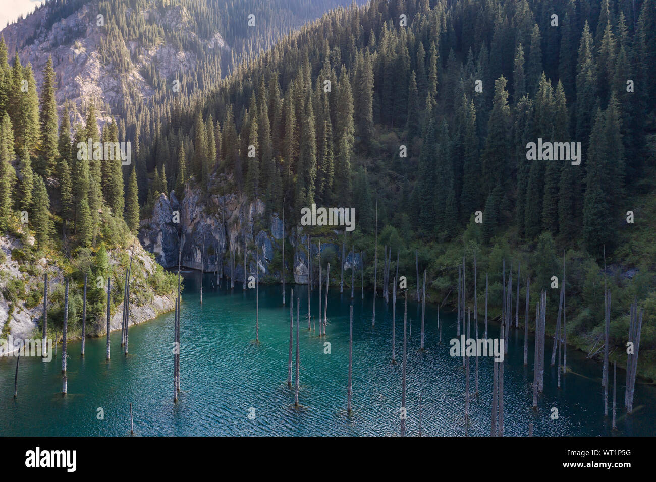 des-images-a-riennes-de-la-for-t-engloutie-et-lac-kaindy-au-kazakhstan