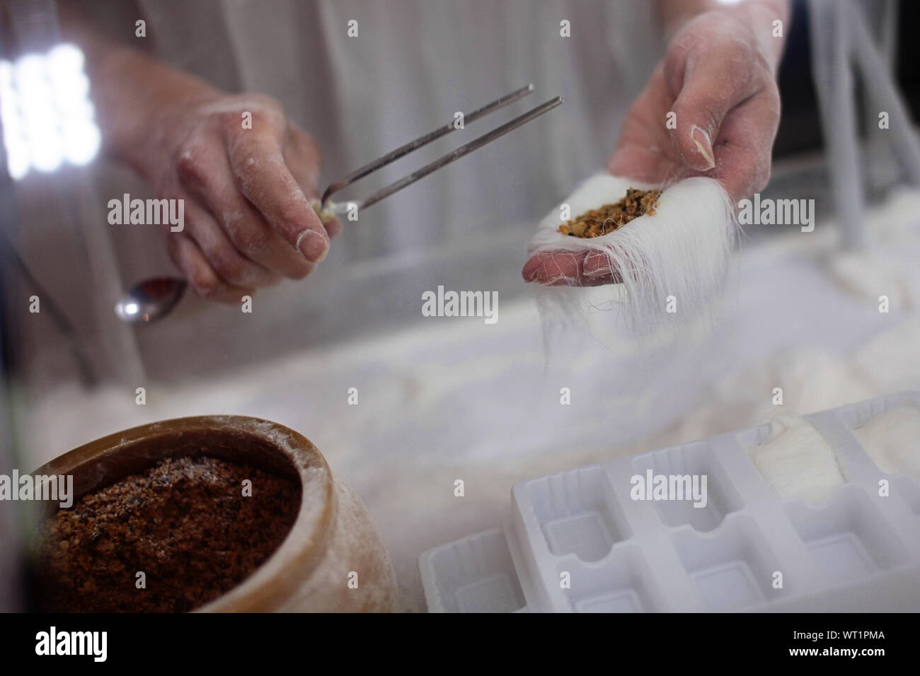 Barbe De Dragon Banque D Image Et Photos Alamy