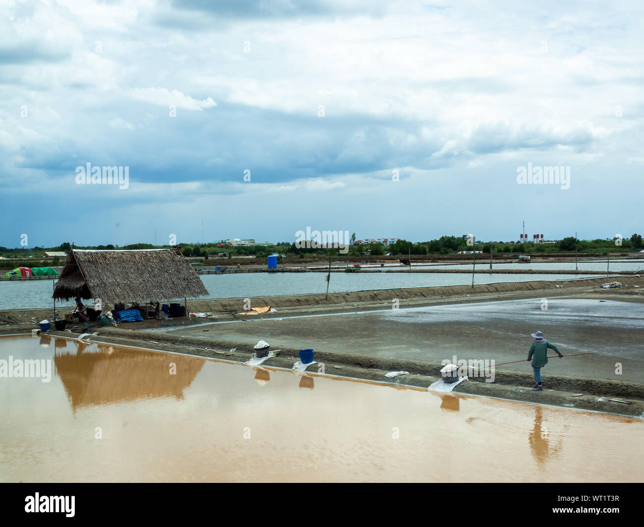 Samut Sakhon, Thaïlande - 16 juin 2019 : paludier sel pelleté dans le jardin de sel Le sel, l'agriculture de Samut Sakhon, Thaïlande. Banque D'Images