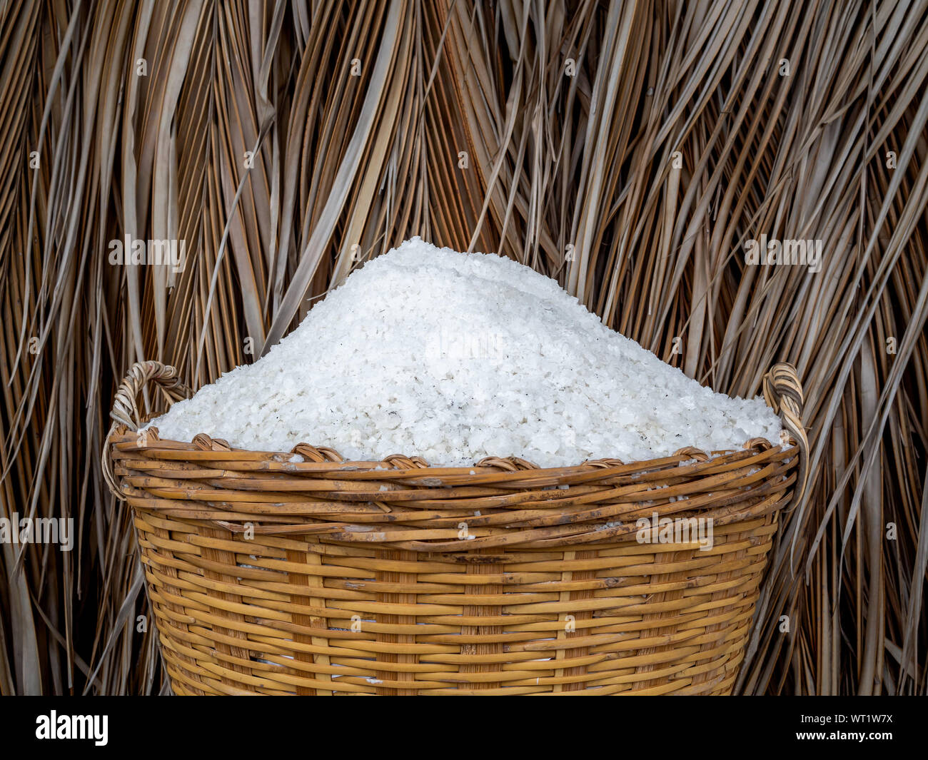 Dans le sel de mer blanc panier jaune sur fond de feuilles de palmiers tropicaux secs. Le sel Le sel, l'agriculture de la production Processus de concept. Banque D'Images