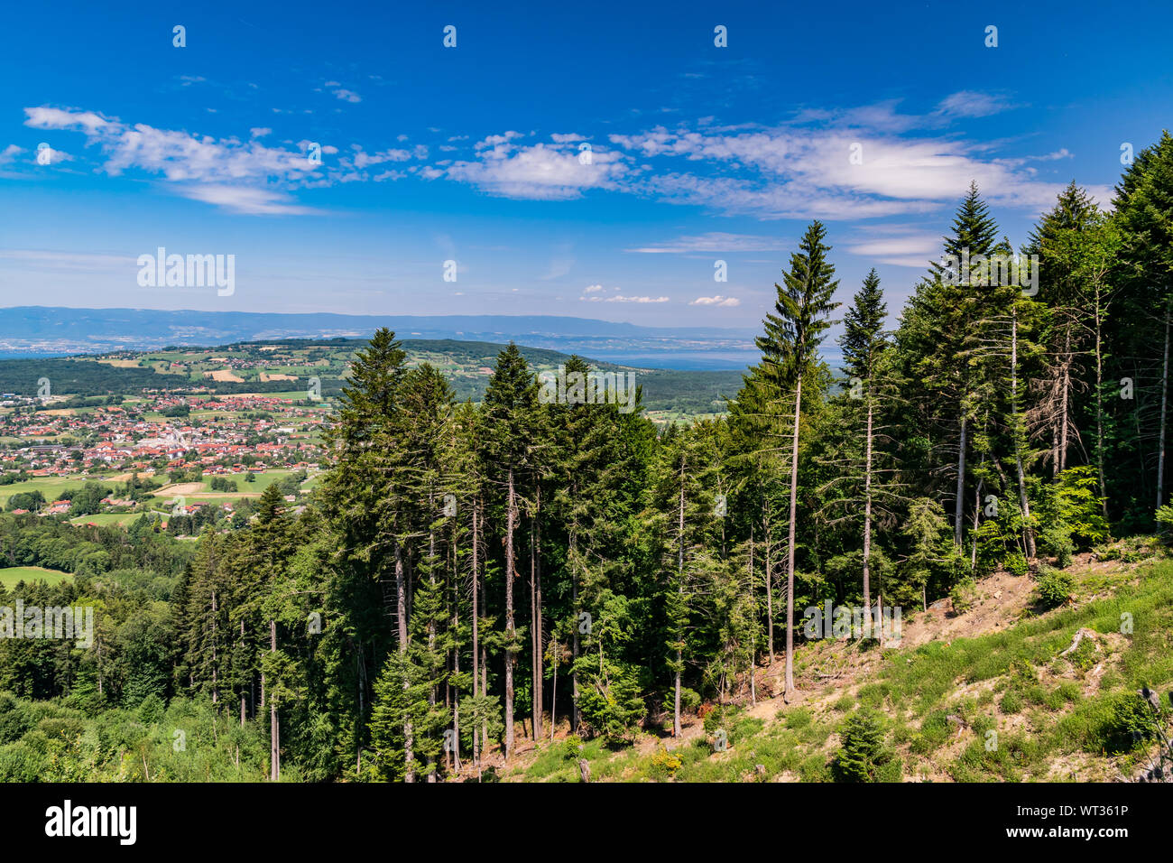 Vue paysage de forêt de conifères sur une pente de montagne, les villes ...
