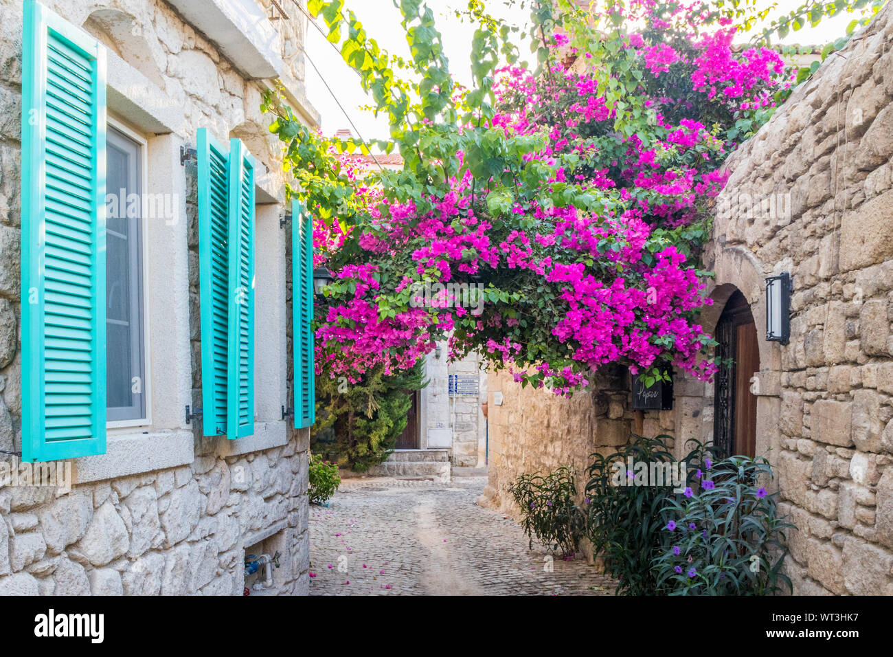 Des volets bleus et violets, bougainvillées, Turquie Banque D'Images