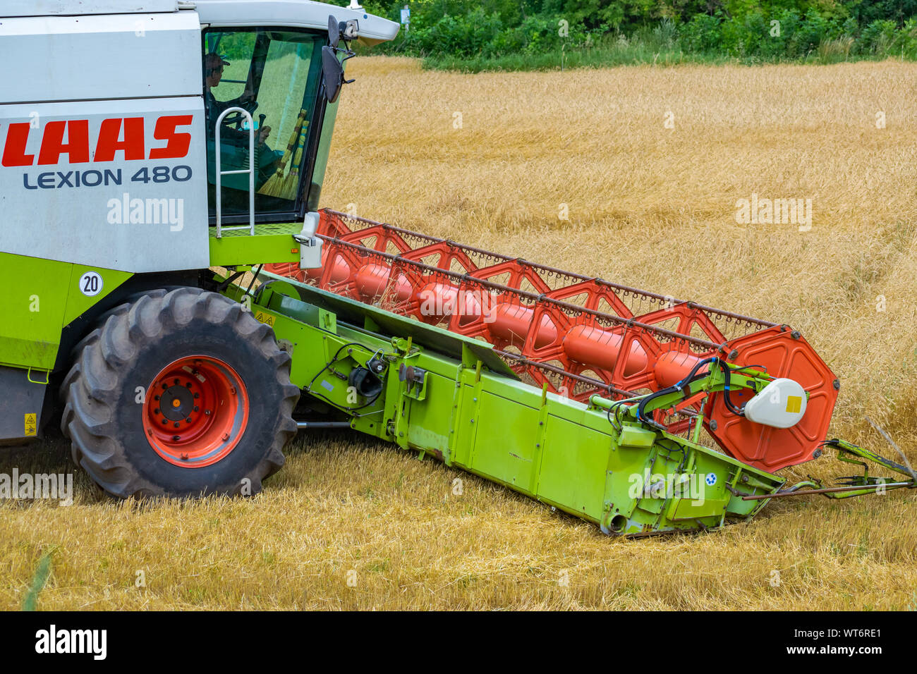La région de Kiev, Ukraine - Juillet 6, 2019 : 480 rendmt Lexion Claas moissonneuse batteuse au travail sur le champ de blé Banque D'Images