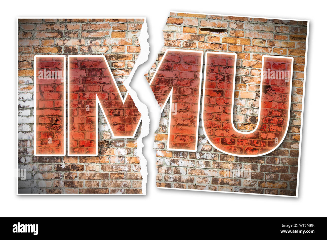 IMU (ce qui signifie l'impôt municipal unique) le plus impopulaire taxe italienne sur les terrains et immeubles - Notion de droit contre un mur de brique avec photo déchirée Banque D'Images