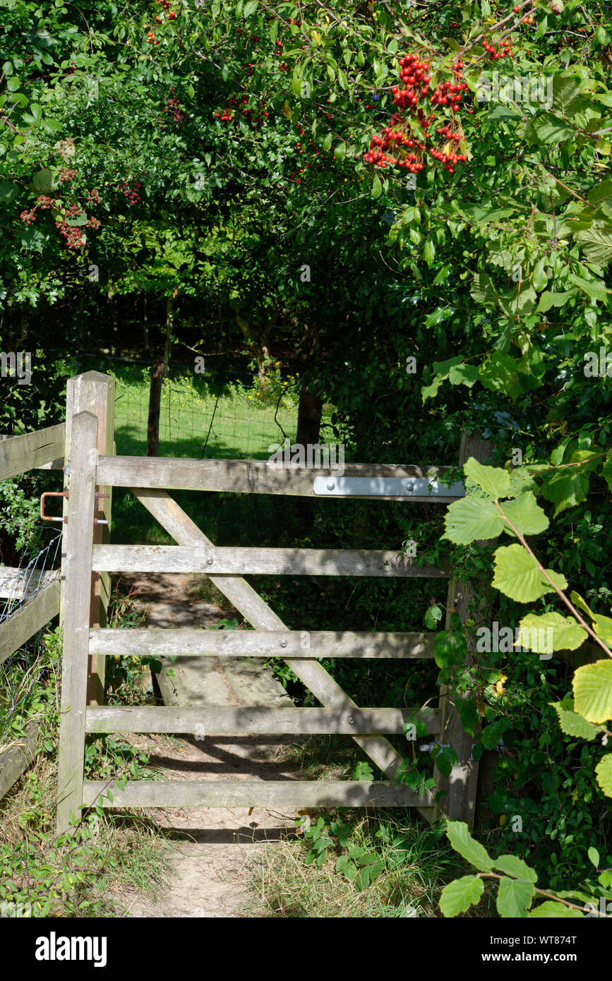 Un sentier porte dans la campagne britannique. Banque D'Images