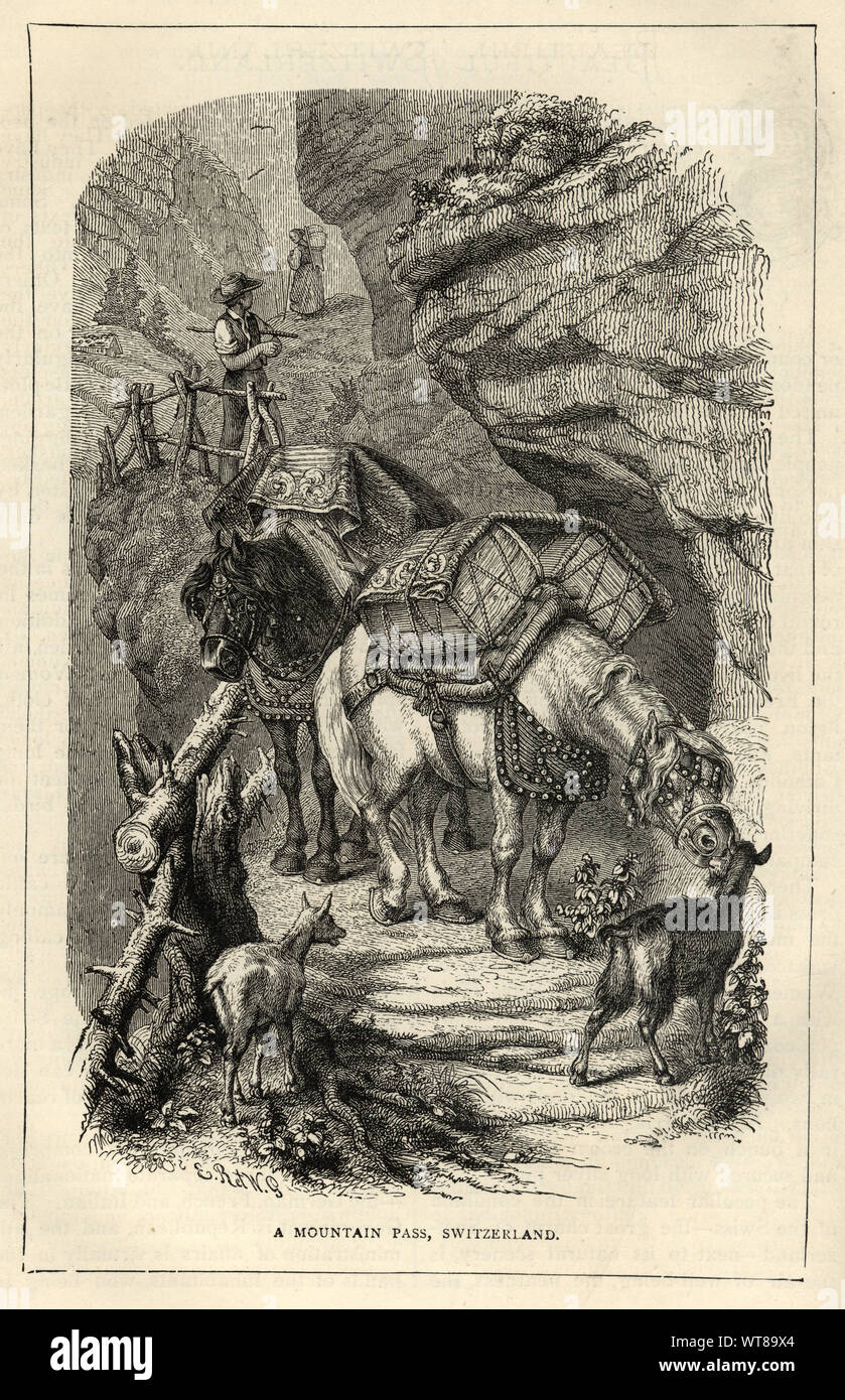 Vintage gravure de chevaux voyageant le long d'un col de montagne, Suisse, 19e siècle Banque D'Images