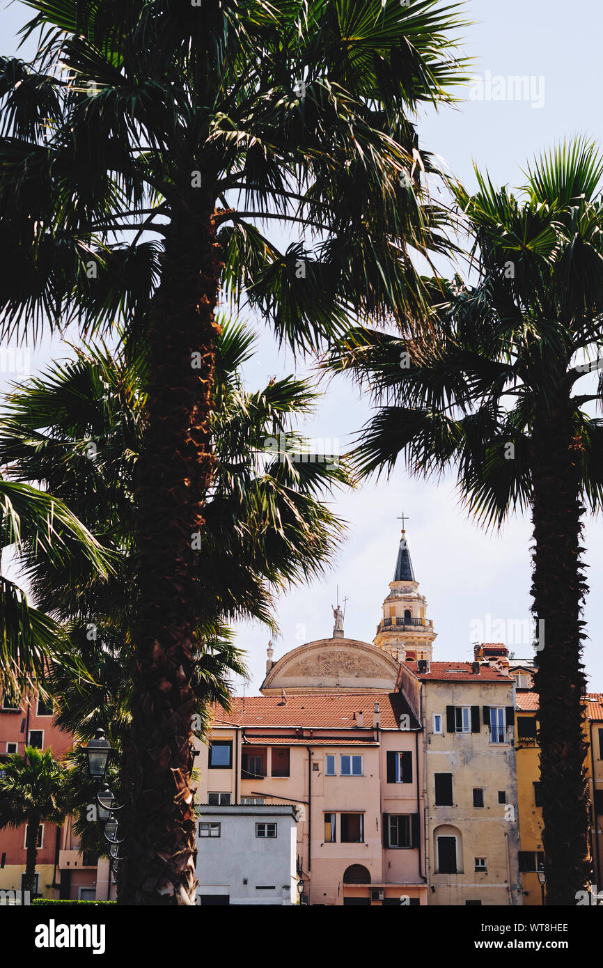 Collégiale Saint Jean Baptiste et skyline de palmiers dans la ville côtière d'Imperia / Oneglia, Riviera Italienne en Ligurie, Italie. Banque D'Images