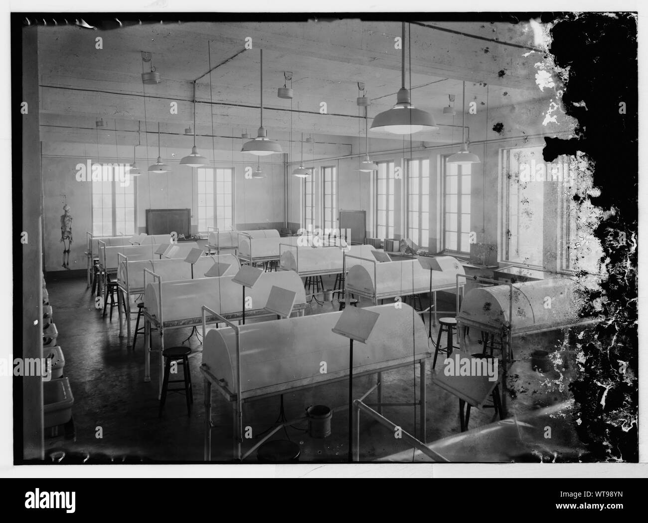 Classe médicale, peut-être à l'Université américaine de Beyrouth Banque D'Images