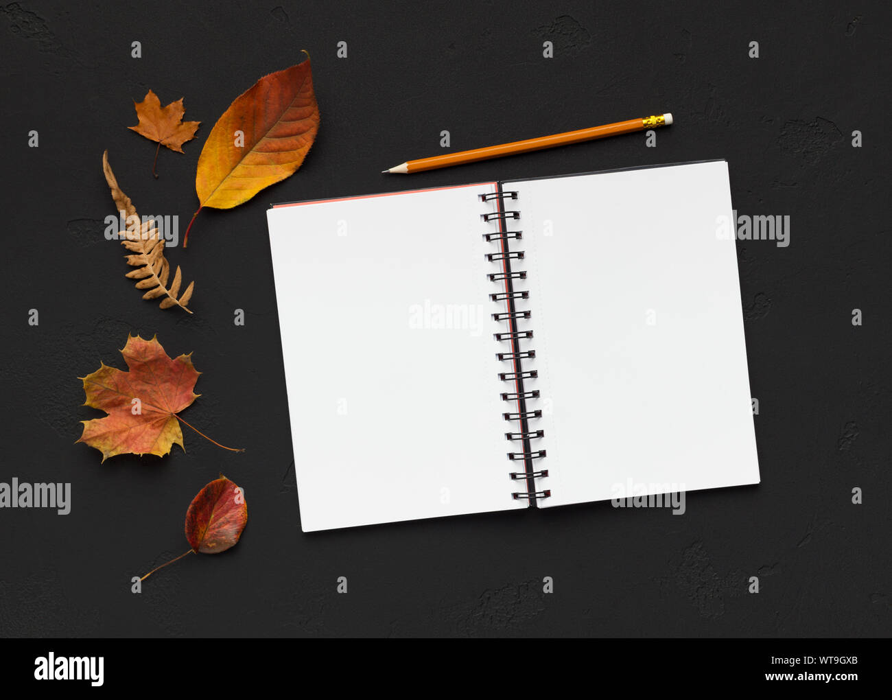 Ordinateur portable avec des feuilles blanches sur fond noir Banque D'Images