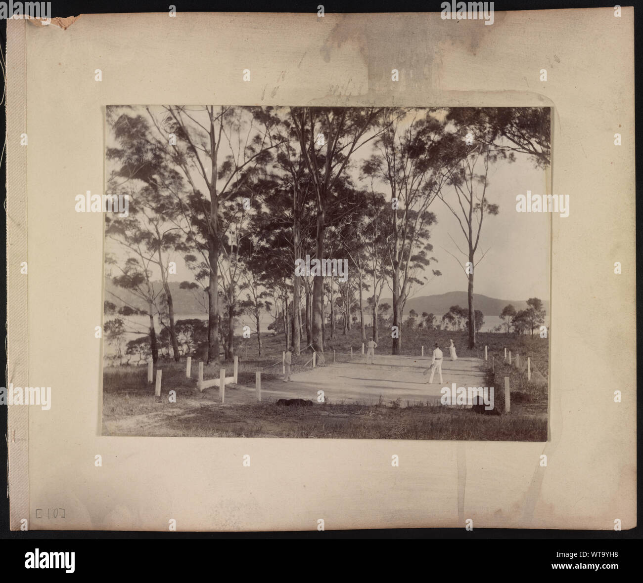 Les hommes et les femmes à jouer au tennis sur un court dans une clairière dans les bois près d'un plan d'eau, Nouvelle Galles du Sud, Australie Banque D'Images