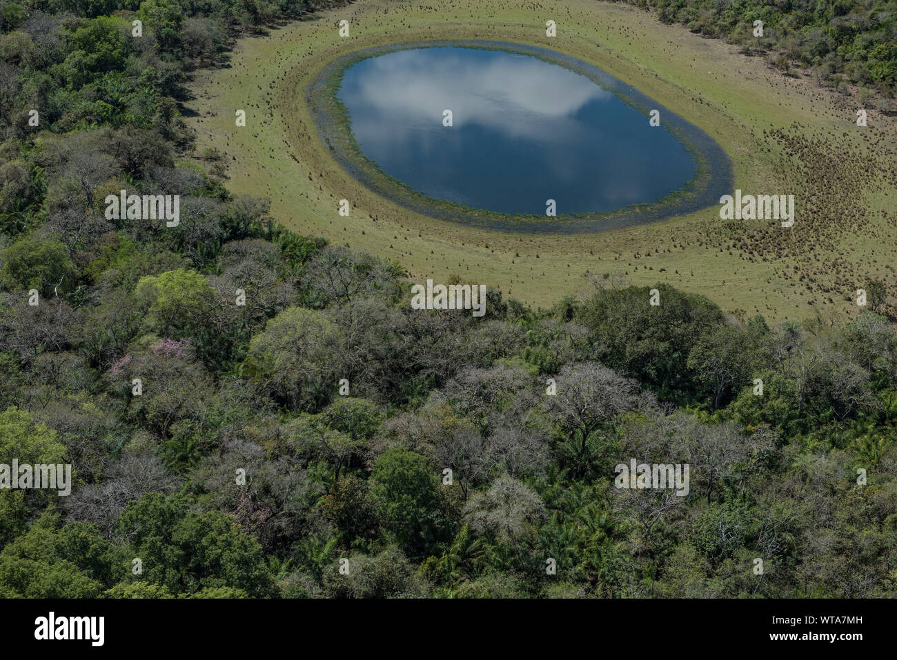 Vue aérienne d'un lac bleu dans les zones humides du Pantanal brésilien Banque D'Images