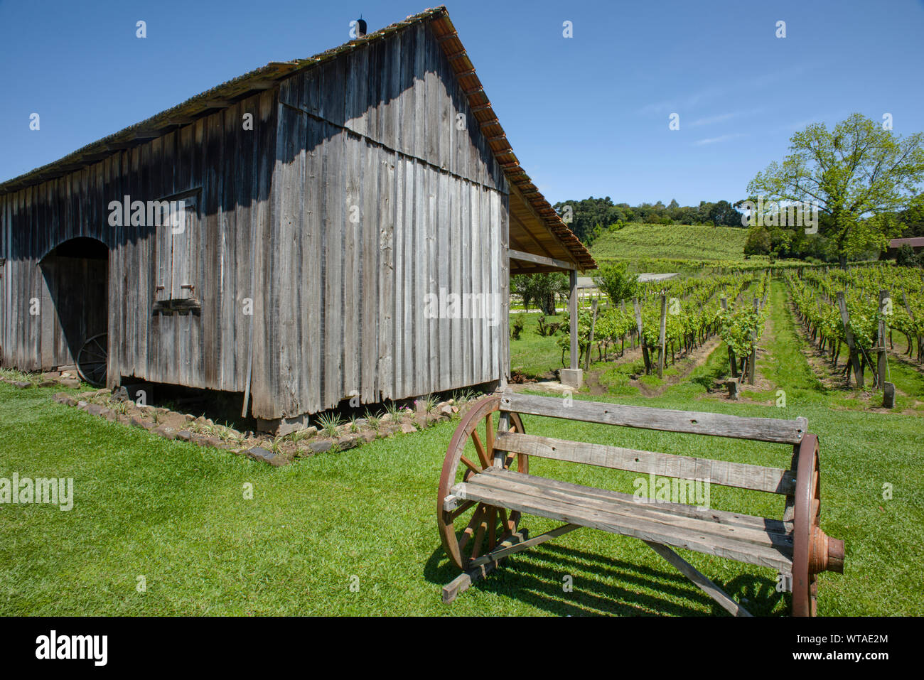 Maison coloniale à vineyard Banque D'Images