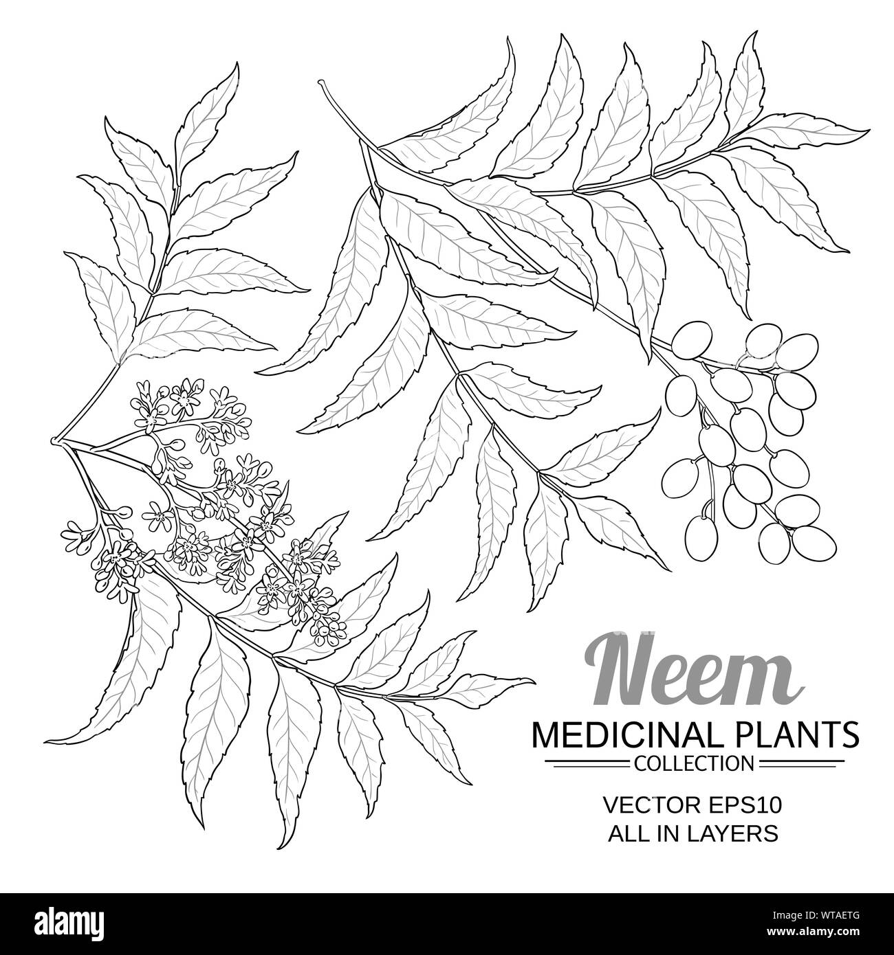 Vector set neem sur fond blanc Illustration de Vecteur