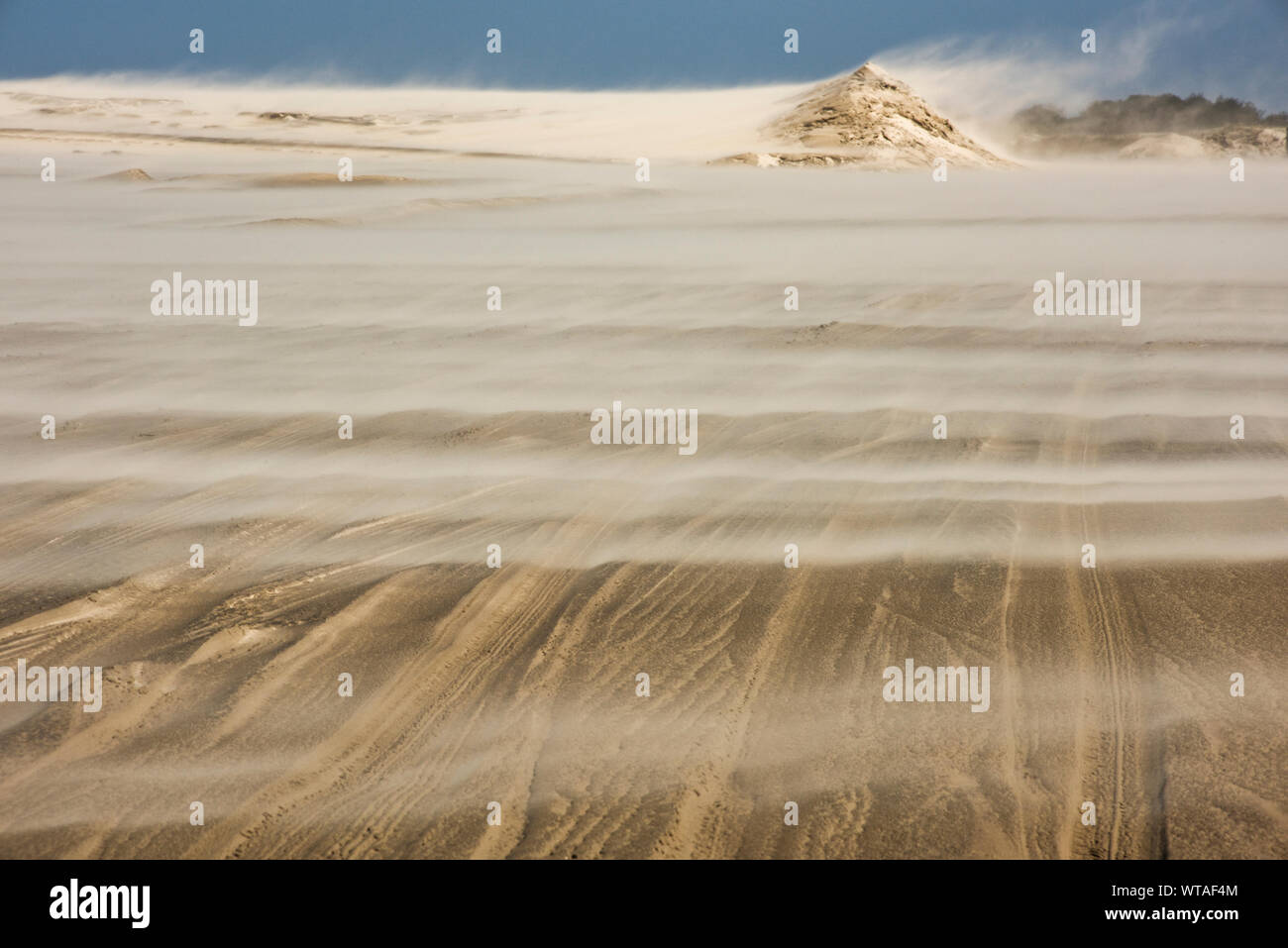 Tempête de sable dans le Parc National de la Lagoa do Peixe Banque D'Images